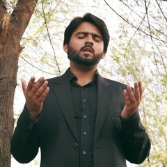 Emotional Kalam Tarap Uthta Hai Dil - Karbala Ki Dastan - Muhammad Zargham Haider Mustafavi