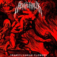 TRANSYLVANIAN FLOWERS