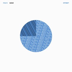 Pavv - Leave Me