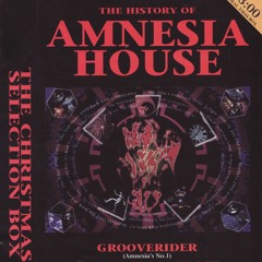 Top Buzz @ Amnesia House - The History Of Amnesia House - 1993