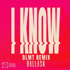 Dallas K - I Know (DLMT Remix)