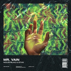 Culture Beat - Mr. Vain (STVW & Mountblaq Festival Edit)