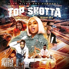 Top Shotta Dancehall Reggae Mix