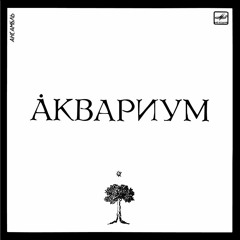 Иван Бодхидхарма