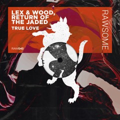 Lex & Wood, Return Of The Jaded - Hypnotic Robotic [RAW043]
