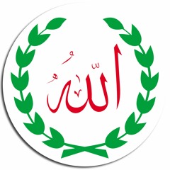 حزب النصر