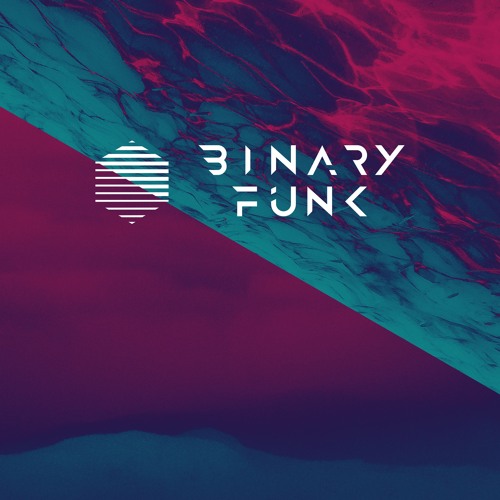 Binary Funk - PROMO MIX