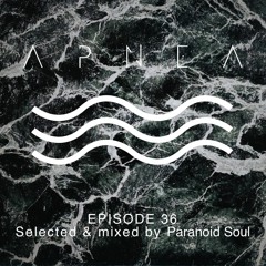 Episode 36 - Selected & mixed by Paranoid Soul