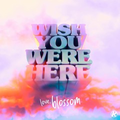 Wish You Were Here