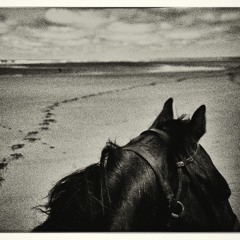 So It Goes - How Can You Be So Cruel