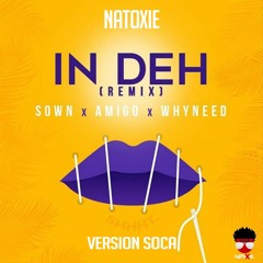 Sown & Amigo Ft Whyneed - In Deh (Soca Version By Natoxie) 2020