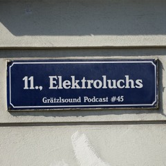 Grätzlsound Podcast #45 - Elektroluchs (Young Society, Landscapes Music)