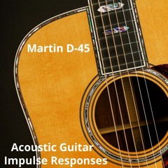 1 Martin D45 IR U87 Demo