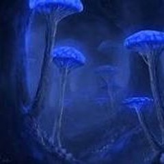 Mushrooms - Terraria OST