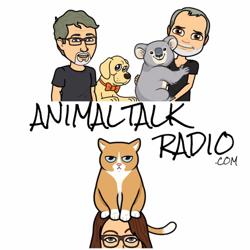 Animal Talk - Trouble at the Track - Episode 96
