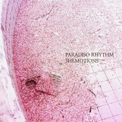 Paradiso Rhythm - Manhattan Stories