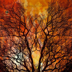 Kiahk.BishopRafael.The Burning Bush.العليقة