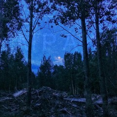 На дне (prod. by CRCL)