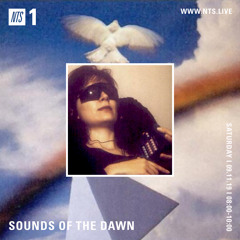 Sounds of the Dawn NTS Radio November 9th 2019