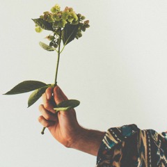 Far Caspian - A Dream Of You