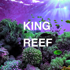 Trump in peach? Wack. 8 sec ahaha