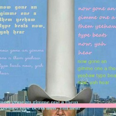 now gone an get me one a them yeehaw type beats now, ya hear