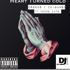 Heart Turned Cold ft Young Cats(Dj Flipp)