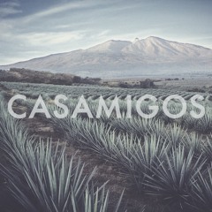 CASAMIGOS