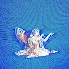 I'M LOST INSIDE w/ YNG (PROD. MXSTVH)