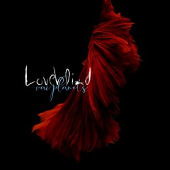 Loveblind / War Planets