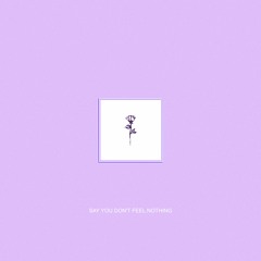 SAY YOU DON'T FEEL NOTHING (SPOTIFY NOW)