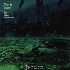 Sharee - Devastar (Enrique Calvetty & Delano Remix)