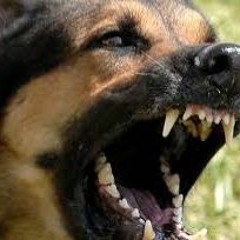 Our Year - Yung Jell ft. AlrobThaGod