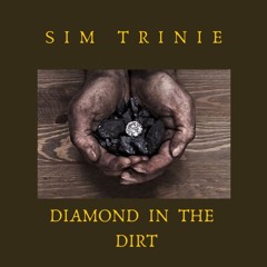 Diamond in the dirt