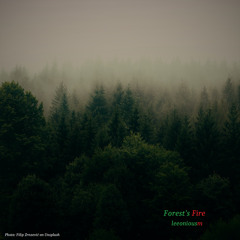 Forest’s Fire