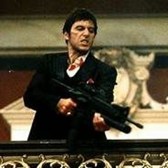 NEWTS X 813 ANT - MOBB