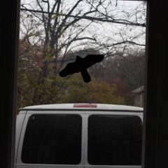 Traveling After Dark (Neal Casal Cover)