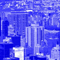 Leonard Bowman - five shades of blue but not gloomy