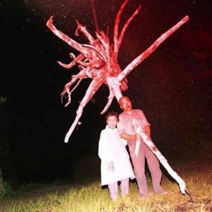 m̴̨̦͎̻̝̹̑̓i̸̖͆̔͋͂̎ͅȓ̸̻̿̇̋̕͘r̵̟̤͌̌̈͑̊o̷̢͎͓̩͙̐r̸̹̎͊́̽͘c̷͚͑͛ú̴̥̗̯̳͛̾̀̒͠ͅl̷̤̆̆͛͊͜t̸͙͕́́͊