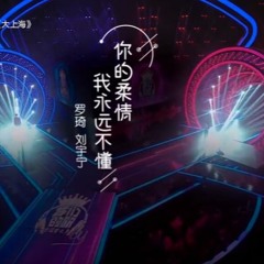 罗琦 刘宇宁《你的柔情我永远不懂》