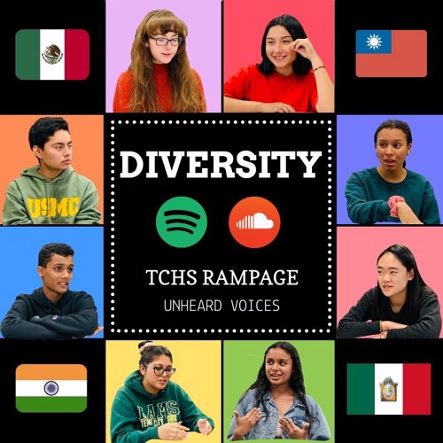 Students of color emphasize need for diversity