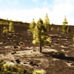 Selected Firstperson Tracks 2017 - 2019