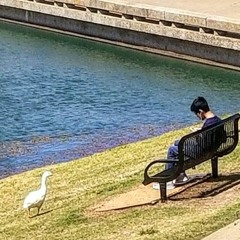 WE NEED WAR FOR PEACE  |  prod. Eric Godlow