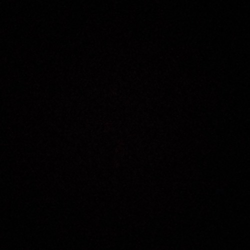 المولد