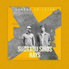 SUDRABU SIRDS X RAYS - Augšas Un Lejas