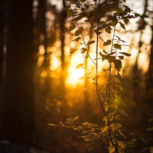 ZéM - It's All Right