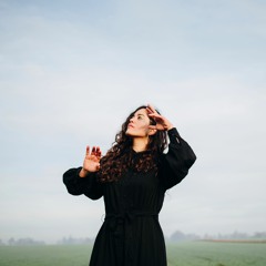 DOES THE SEAGULL THINK ITS LONELY? (roughmix)