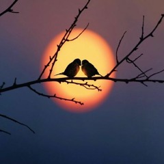 [Free] Ambient Afropop intrumental 2020 " Love birds" |Twiddlebeatz|