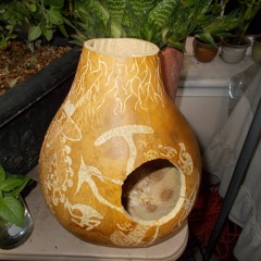 Deep Jungle Rendezous part 2: Udu, Ghatam, Shekere, Mouthbow