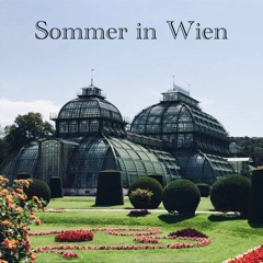 Sommer In Wien